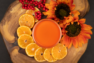 Florida Orange Chalk Mineral Paint 16 oz